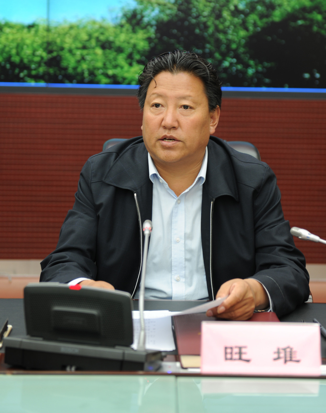 旺堆主持会议.蔡尧摄 005.jpg