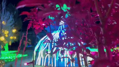 22.gif