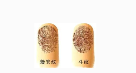 当你伸出双手,手心朝上,你会看到手指上千奇百怪的纹路.