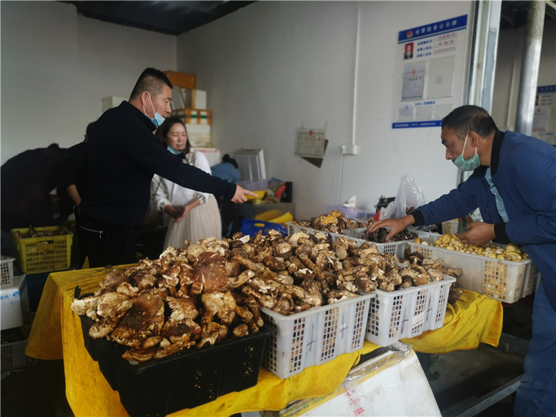 微信图片_20200811153641.jpg